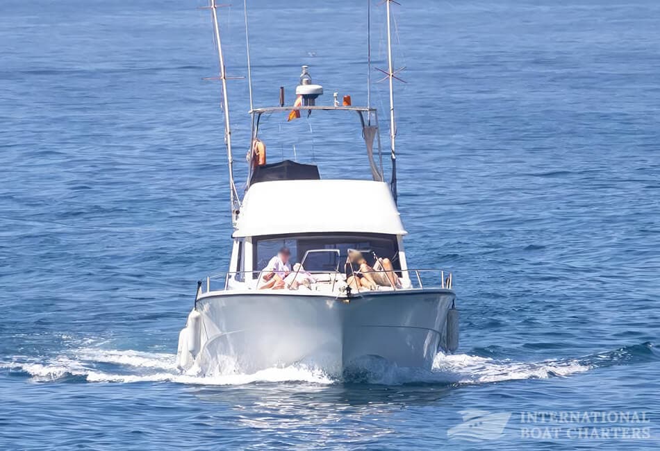 41 ft Rodman 1250 Fishing Boat photo highlight 11