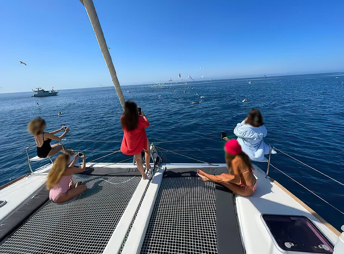 11.55m/ 38 Ft Majestic Lagoon 380 Catamaran photo highlight 14