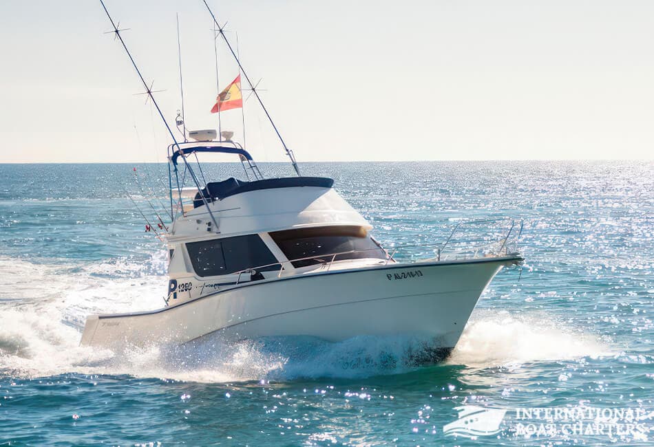12.50m/41ft Rodman 12.50 LP Fishing Powerboat photo highlight 2