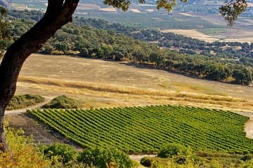 Ronda Private Full Day Wine Tour with Tapas activity