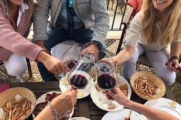 VIP Ronda Wine Tour and Tasting and Gourmet Lunch Experience with Winemaker activity
