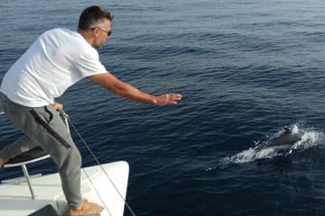 Marbella.2H catamaran in small group with dolphin watching in destination