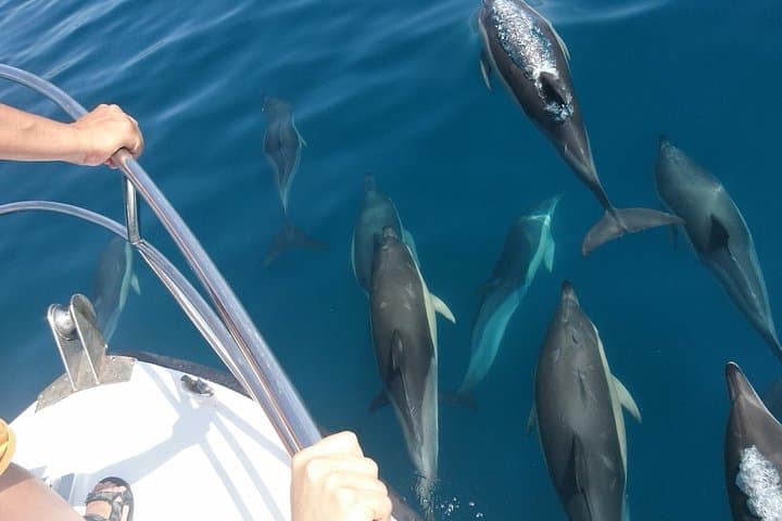 Estepona Bay Tour photo highlight 3