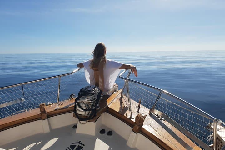 Estepona Bay Tour photo highlight 4